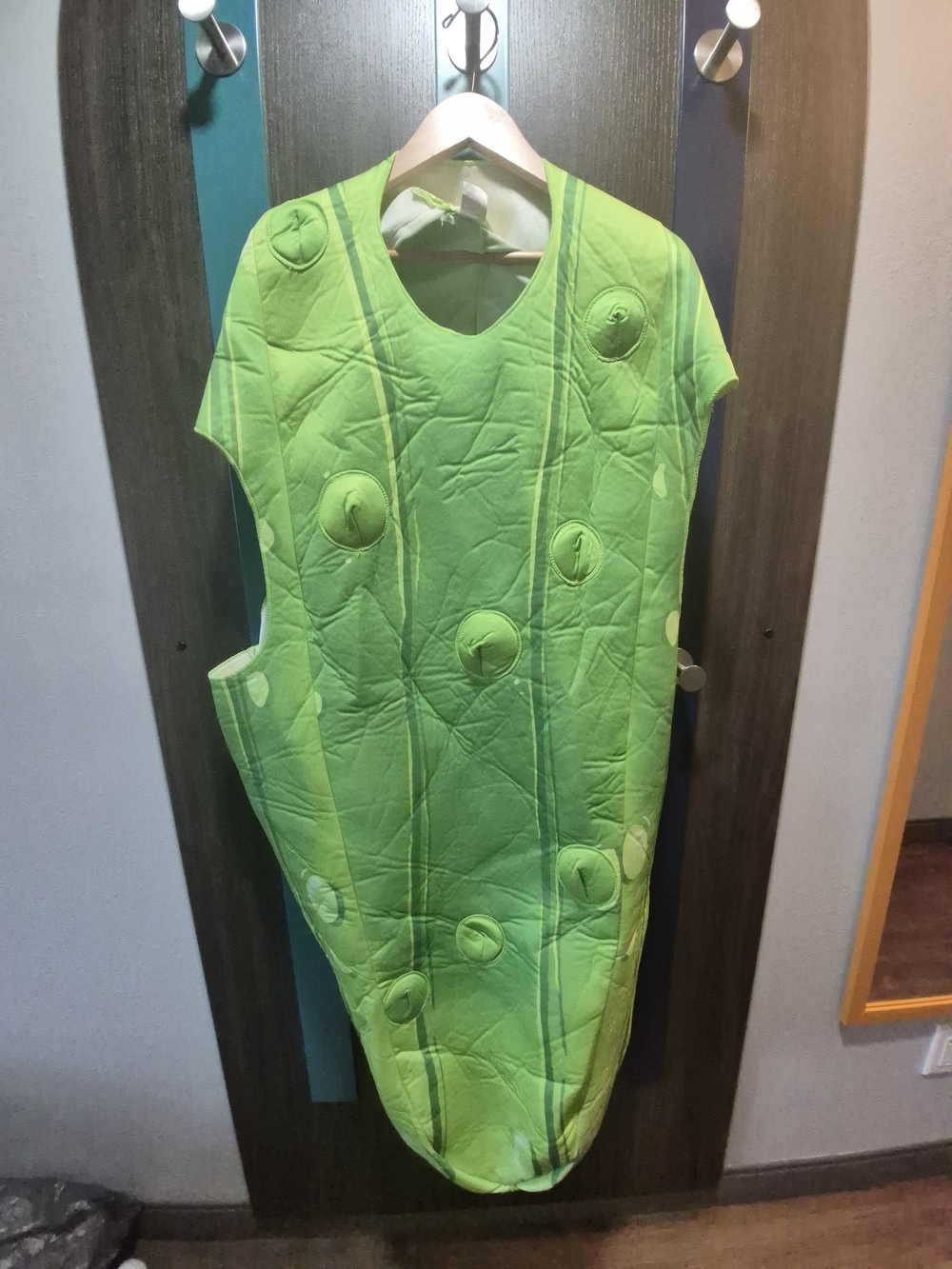 Green Pickle Costume